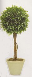 ball topiary with natural trunks 1816x