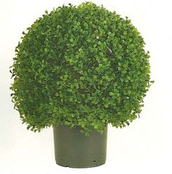 single ball topiary 2646