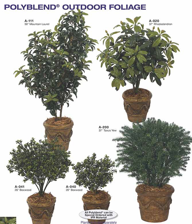 outdoor topiary page 10