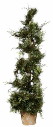 pine tree topiary