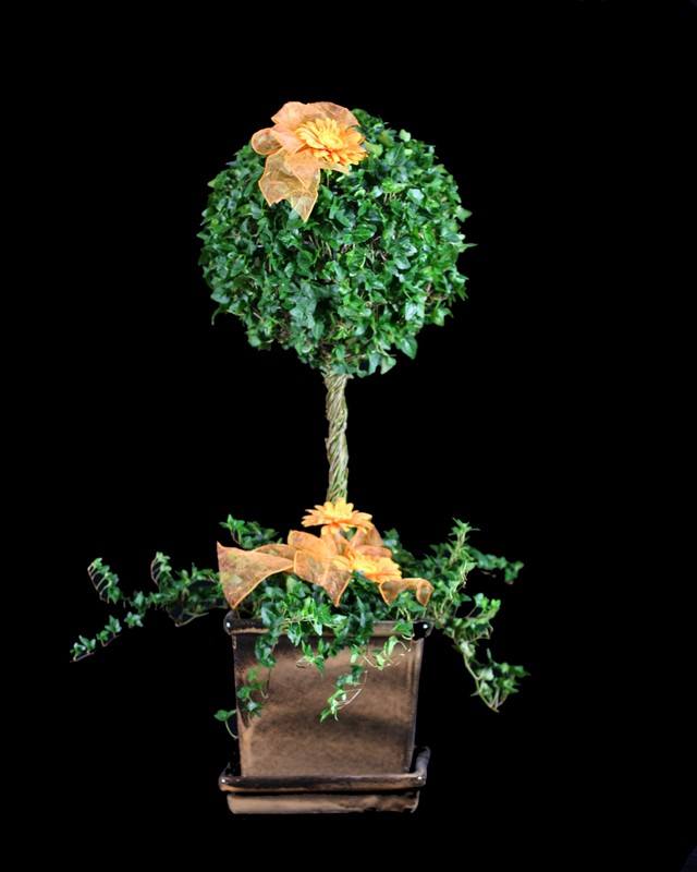 Ivy Single Ball on Stem 31 inches Tall, 8 inch Pot Diameter
