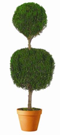 Double Ball Topiary 30 inch