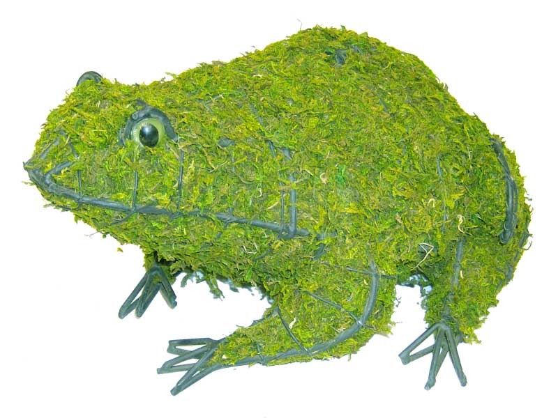 Frog, 6 inch  (Mossed) 6 inch  x 13 inch  x 10 inch
