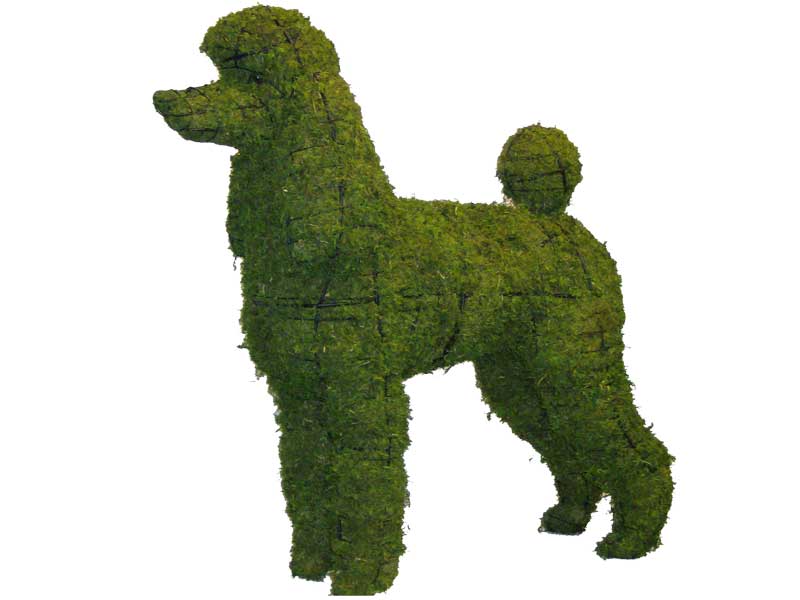 Poodle, 17 inch  (Mossed) 17 inch  x 18 inch  x 9 inch