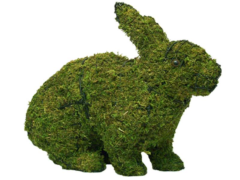 Rabbit, Hopping, 13 inch  (Mossed) 13 inch  x 17 inch  x 7 inch