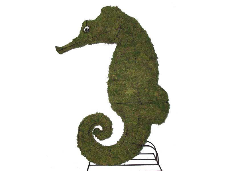 Seahorse Mossed Topiary, 24 inch  (Mossed) 24 inch  x 16 inch  x 6 inch