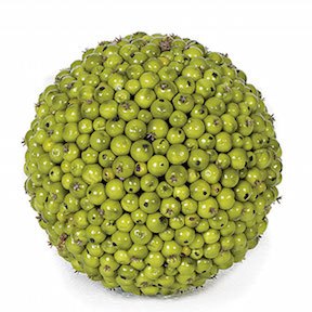7 Inch Green Berry Ball