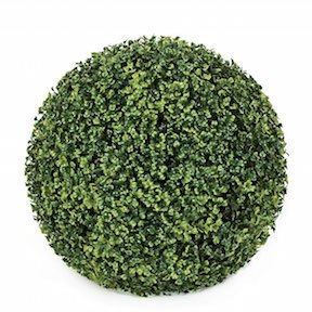 15inch Diameter American Boxwood Ball Topiary