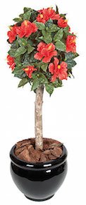 3 and half Foot Polyblend Hibiscus Ball Topiary