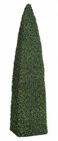 8 foot Boxwood Pyramid Topiary Hedge