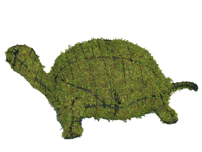 Turtle, 5 inch  (Mossed) 5 inch  x 12 inch  x 8 inch