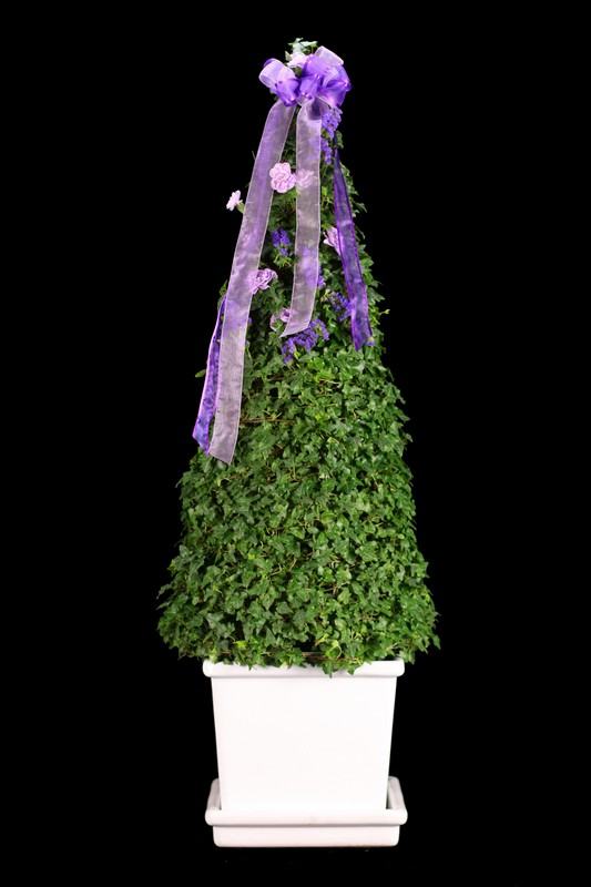 Ivy Cone Topiary with Fresh Foliages 40 to 43 inches Tall