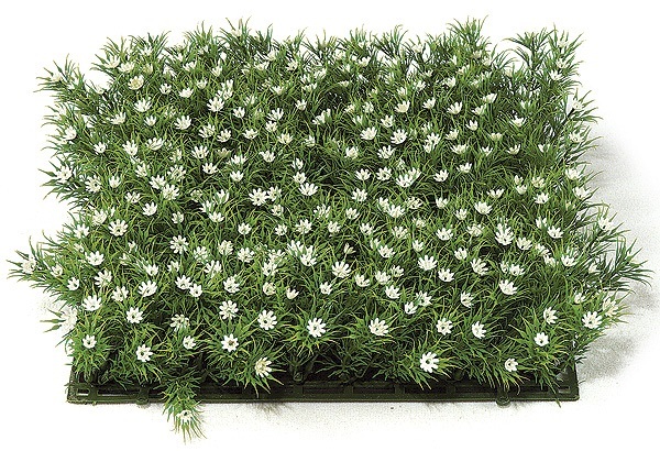 10 inch   Plastic Grass with Gypso (White)