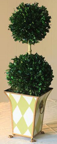 Double Ball in Boxwood Topiary Foliage