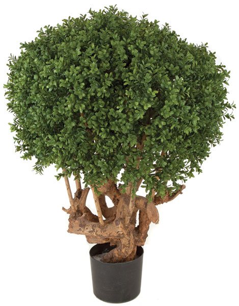 35 inch Boxwood Ball Topiary