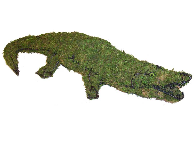 Alligator, 9 inch    (Mossed) 9 inch  x 49 inch  x 20 inch