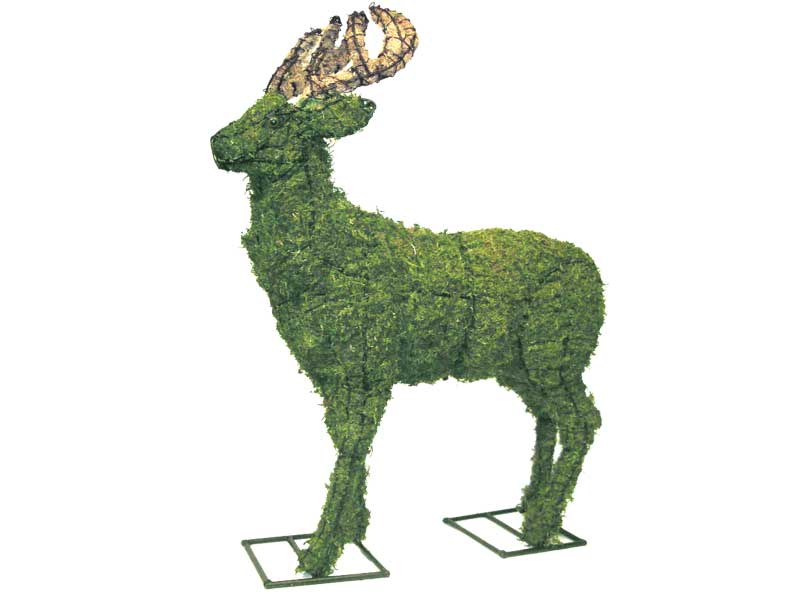 Deer, 18 inch  (Mossed) 18 inch  x 15 inch  x 6 inch