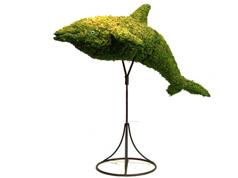 Dolphin Mossed Topiary with Black Frame  33 inch x 36 inch x 17 inch