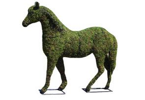 Horse Topiary Frame Mossed, 17 inch  x 17 inch  x 20 inch  x 5 inch