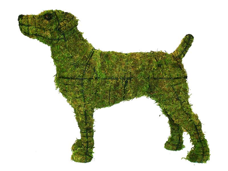 Jack Russell, 14 inch  (Mossed) 14 inch  x 22 inch  x 7 inch