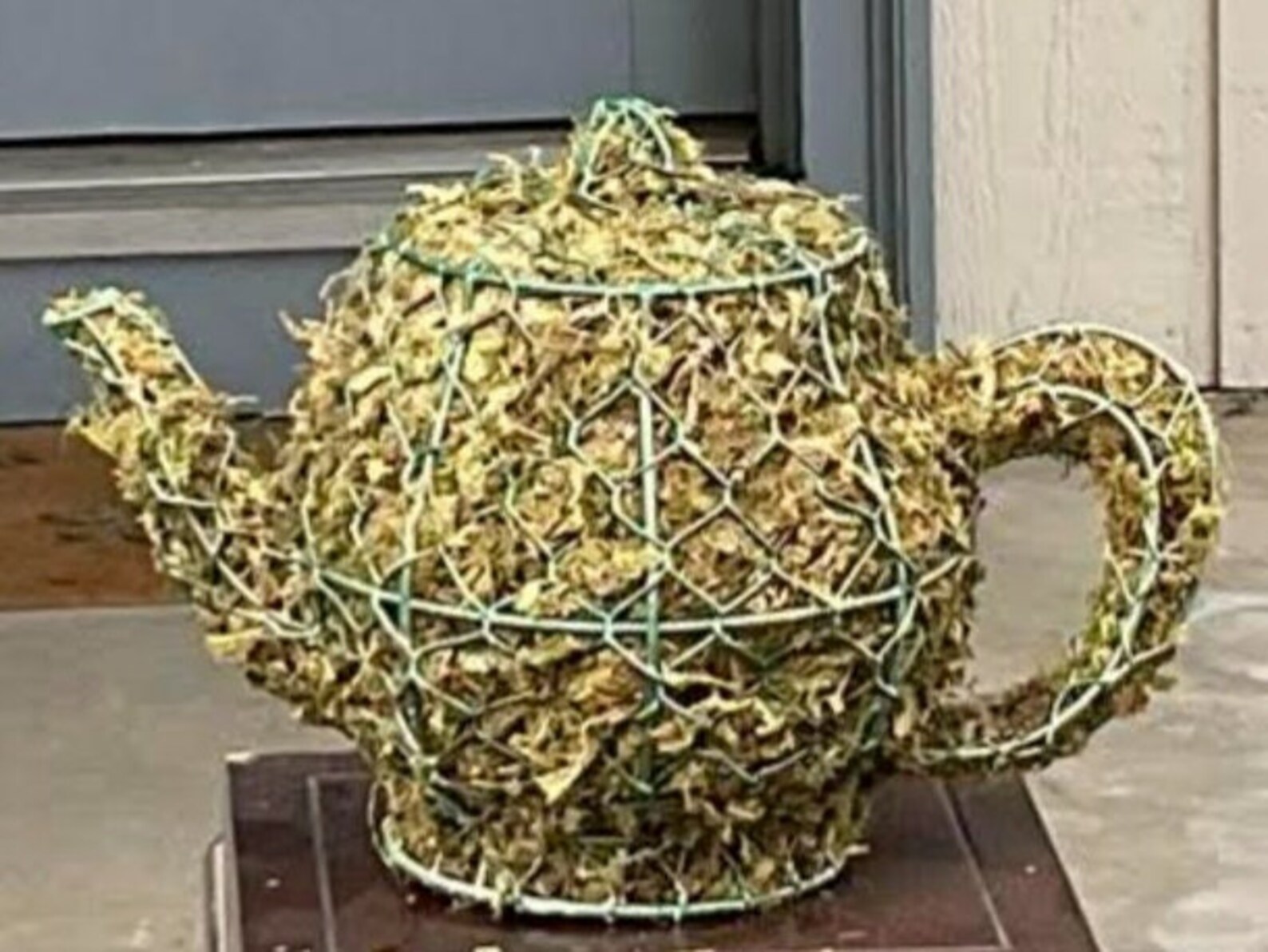 Moss Tea Pot