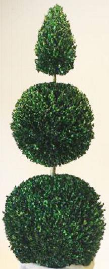 72 inch   Boxwood Double Ball Cone Topiary