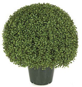 Details about   BISEN ARTIFICIAL TREE ALL TYP BAY PYRAMID IN-OUTDOOR PLANT TOPIARY LAUREL BALL 