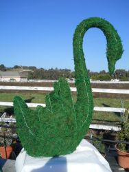 Swan Frame Topiary with Moss 17 inches tall