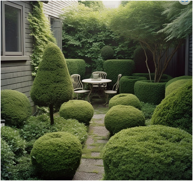 Topiary Shapes and Styles