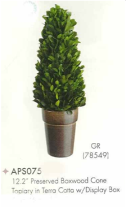 cone topiary plant on pot