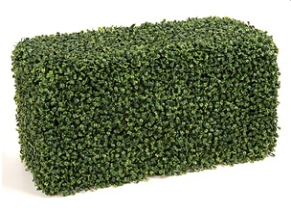 square hedge topiary