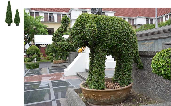 The Top 10 Most Popular Topiary Tree Shapes and Designs