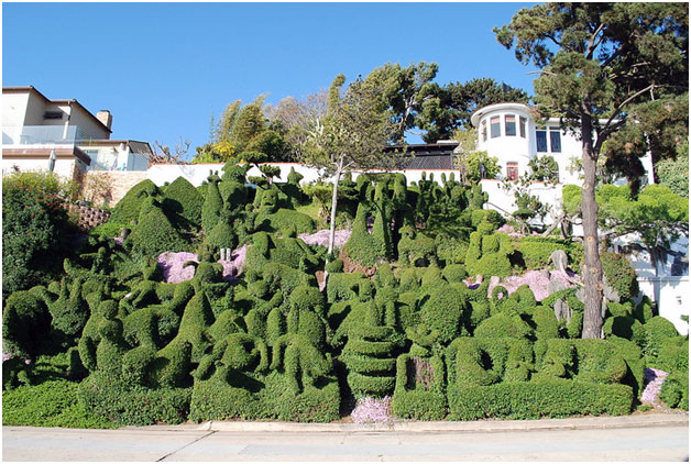 How Do Topiaries Impact the Environment?